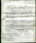 Court of Common Pleas - Mary Balty-Original Ancestry