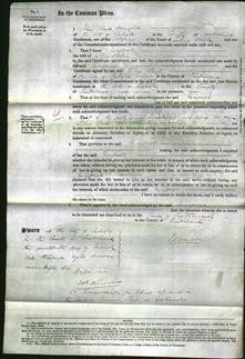 Court of Common Pleas - Margaret Harbin-Original Ancestry