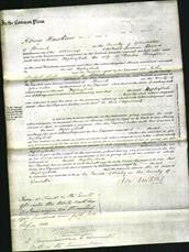Court of Common Pleas - Hephzibah Shaylor-Original Ancestry