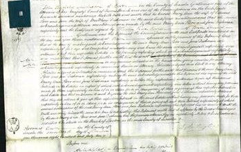 Court of Common Pleas - Mary Ann Horr, Jane Dishman-Original Ancestry