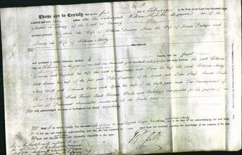 Deed by Married Women - Elizabeth Dawson, Jane Phillips and Louisa Morley-Original Ancestry