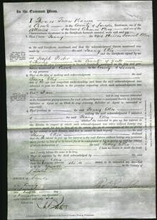 Court of Common Pleas – Fanny Ellis-Original Ancestry