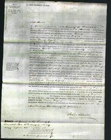 Court of Common Pleas - Fanny Rogers-Original Ancestry