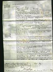 Court of Common Pleas - Frances Ann Hewland, Kitty Nicholls and Mary Pembert-Original Ancestry