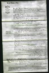 Court of Common Pleas - Elizabeth Brace-Original Ancestry