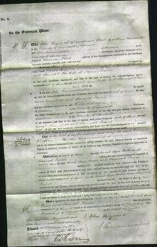 Court of Common Pleas - Sarah Ann Mills, Hannah Travis-Original Ancestry