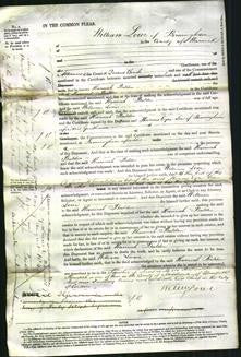Court of Common Pleas - Hannah Dinsdale Balden-Original Ancestry