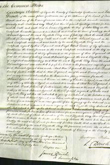 Court of Common Pleas - Elizabeth Clay-Original Ancestry