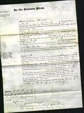 Court of Common Pleas - Ann Martin-Original Ancestry