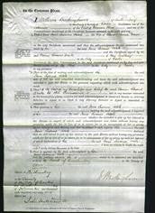 Court of Common Pleas - Fearne Susanne Adele Drewe-Original Ancestry