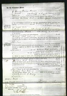 Court of Common Pleas - Mildred Ashmore-Original Ancestry