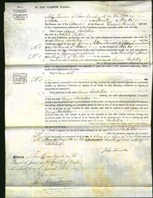 Court of Common Pleas - Anne Isabella Fuller-Original Ancestry