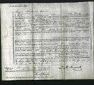 Court of Common Pleas - Mary Chapman-Original Ancestry