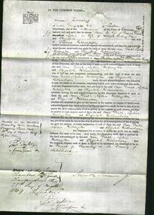 Court of Common Pleas - Ann Finch, Lydia Redington and Elizabeth Richardson-Original Ancestry