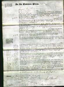 Court of Common Pleas - Elizabeth Burgess, Mary Ashcroft and Prudence Stackhouse-Original Ancestry