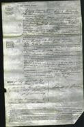 Court of Common Pleas - Arabella Diana Bannerman-Original Ancestry