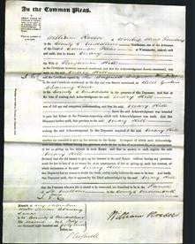 Court of Common Pleas - Mary Hill-Original Ancestry