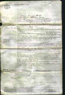 Court of Common Pleas - Elizabeth Dinsdale Bowin-Original Ancestry