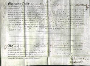 Deed by Married Women - Ann Fawcus, Mary Grunson, Margaret Pattison and Isabella Robson-Original Ancestry
