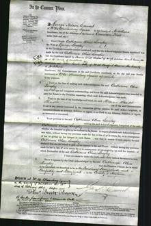 Court of Common Pleas - Catherine Alice Longley-Original Ancestry