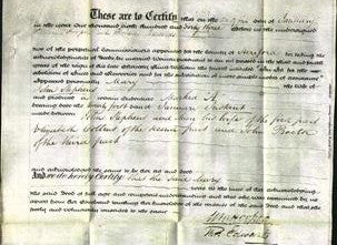 Deed by Married Women - Mary Stephens-Original Ancestry