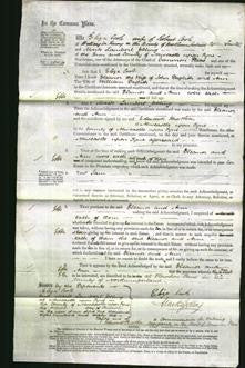 Court of Common Pleas - Eleanor Daglish and Ann Daglish-Original Ancestry