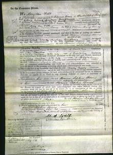 Court of Common Pleas - Rosina Sophia Barry-Original Ancestry