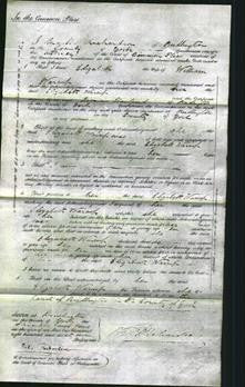 Court of Common Pleas - Elizabeth Warcup-Original Ancestry