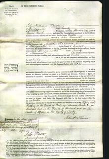 Court of Common Pleas - Emilia Barnwell-Original Ancestry