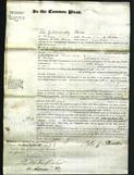 Court of Common Pleas - Sarah Nabbe-Original Ancestry