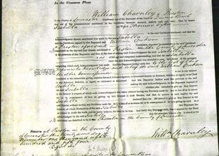 Court of Common Pleas - Isabella Sykes-Original Ancestry