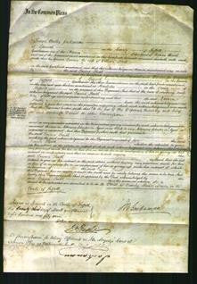 Court of Common Pleas - Emma Smith-Original Ancestry