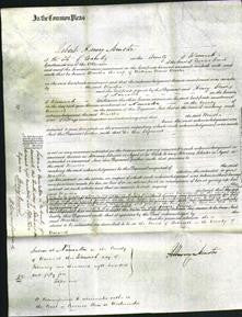 Court of Common Pleas - Martha Marler-Original Ancestry