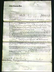 Court of Common Pleas - Louisa Elizabeth Anne Shelley-Original Ancestry