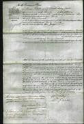 Court of Common Pleas - Emily Bassett-Original Ancestry