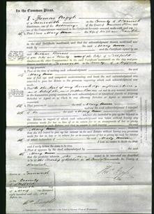 Court of Common Pleas - Mary Franklin-Original Ancestry