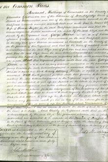 Court of Common Pleas - Eliza Taylor-Original Ancestry