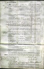 Court of Common Pleas - Mary Nichols-Original Ancestry