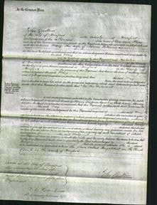 Court of Common Pleas - Mary Williams-Original Ancestry