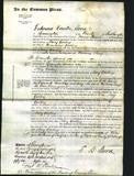 Court of Common Pleas - Mary Gosling-Original Ancestry