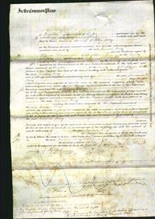 Court of Common Pleas - Jemima Ivory-Original Ancestry
