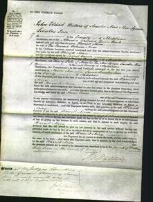 Court of Common Pleas - Harriet Niven-Original Ancestry