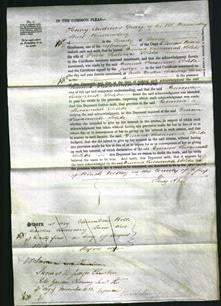 Court of Common Pleas - Emma Susannah Solita-Original Ancestry