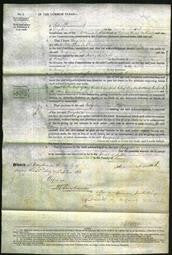 Court of Common Pleas - Georgiana Overton-Original Ancestry