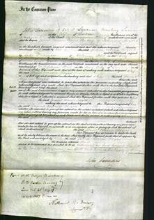 Court of Common Pleas - Jennet Maria Rogers-Original Ancestry