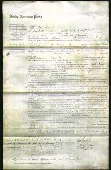 Court of Common Pleas - Mary Smith-Original Ancestry