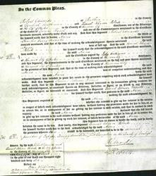 Court of Common Pleas - Anne Nicholls-Original Ancestry