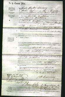 Court of Common Pleas - Charlotte Matthews-Original Ancestry