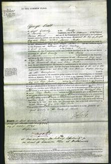 Court of Common Pleas- Susannah Guy and Eliza Parker-Original Ancestry