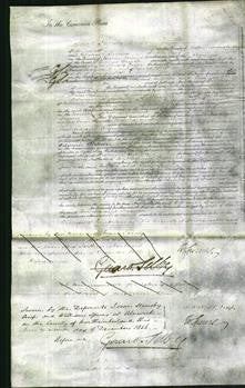 Court of Common Pleas - Isabella Stephenson Elliott and Frances Stephenson Hall-Original Ancestry